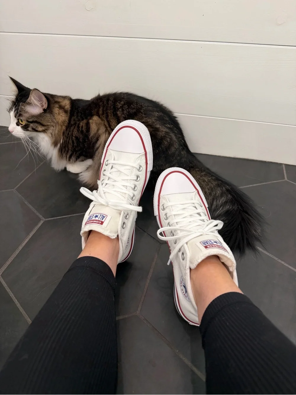 Converse White Low Top Sneakers with Red Accent
